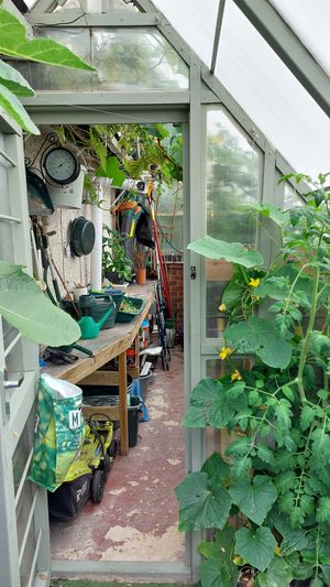 Photo 31- click for photo gallery